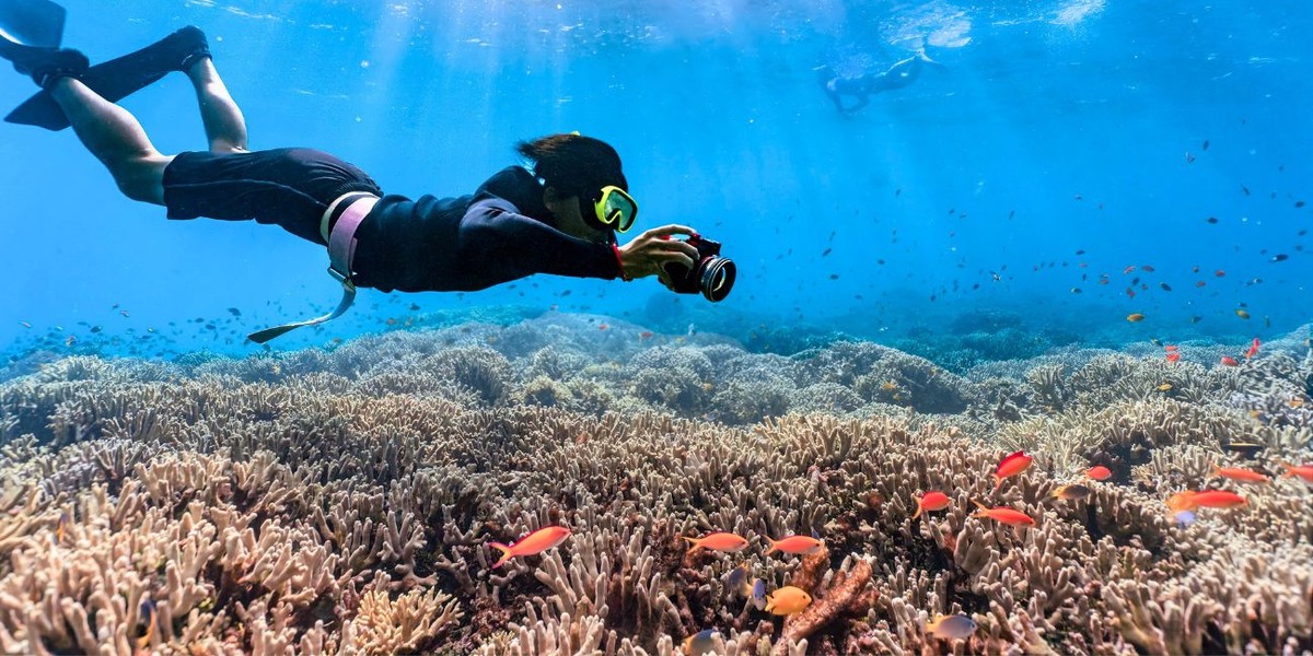 Najlepsze miejsca na snorkeling i nurkowanie w Chorwacji