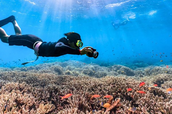 Najlepsze miejsca na snorkeling i nurkowanie w Chorwacji