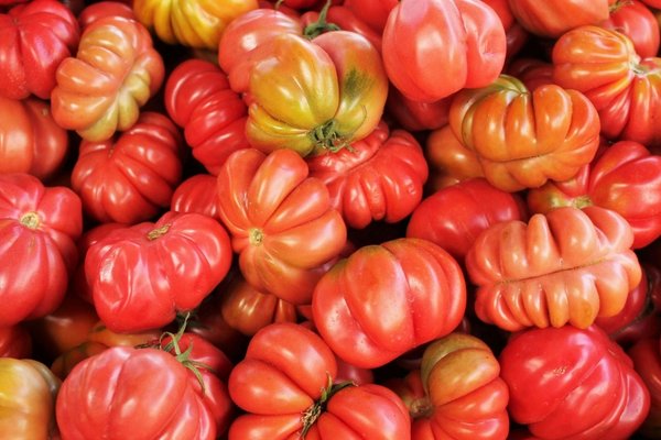 La Tomatina: przewodnik po najsłynniejszej bitwie na pomidory w Hiszpanii
