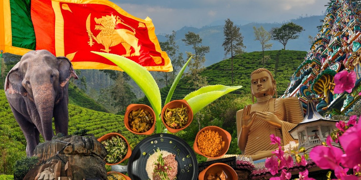 Sri Lanka – wszystko, co musisz wiedzieć przed wyjazdem!