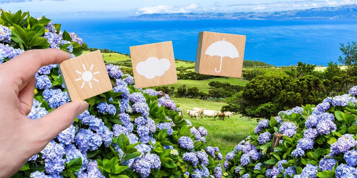 Kiedy lecieć na Azory: pogoda i klimat