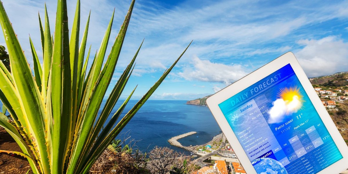 Kiedy lecieć na Maderę? Pogoda i klimat